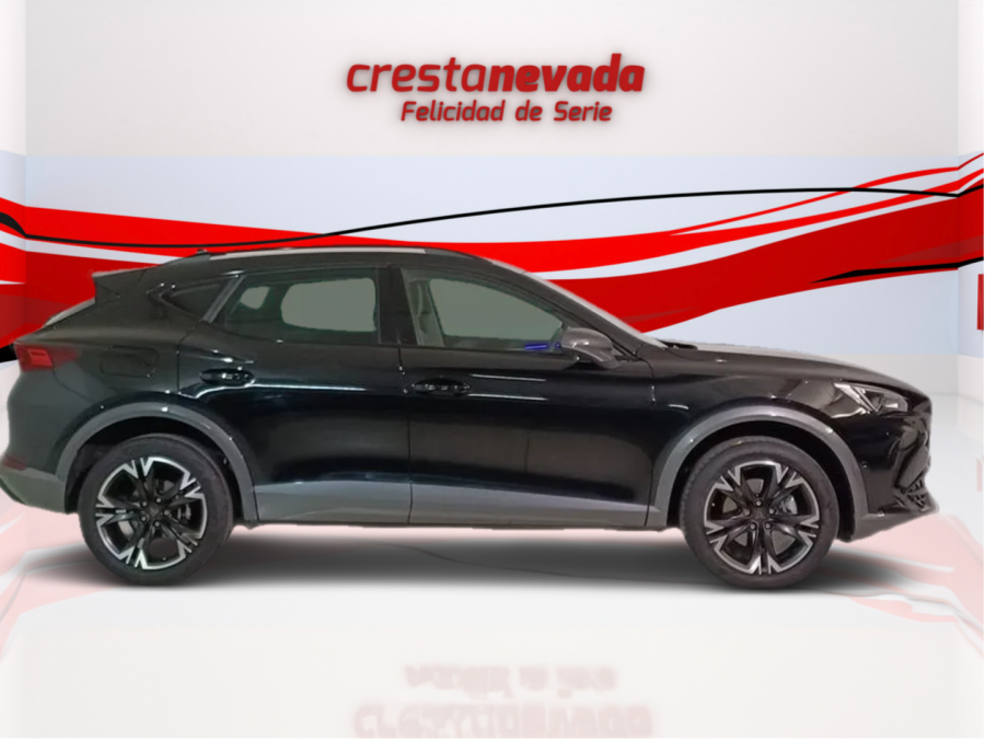 Imagen de cupra Formentor