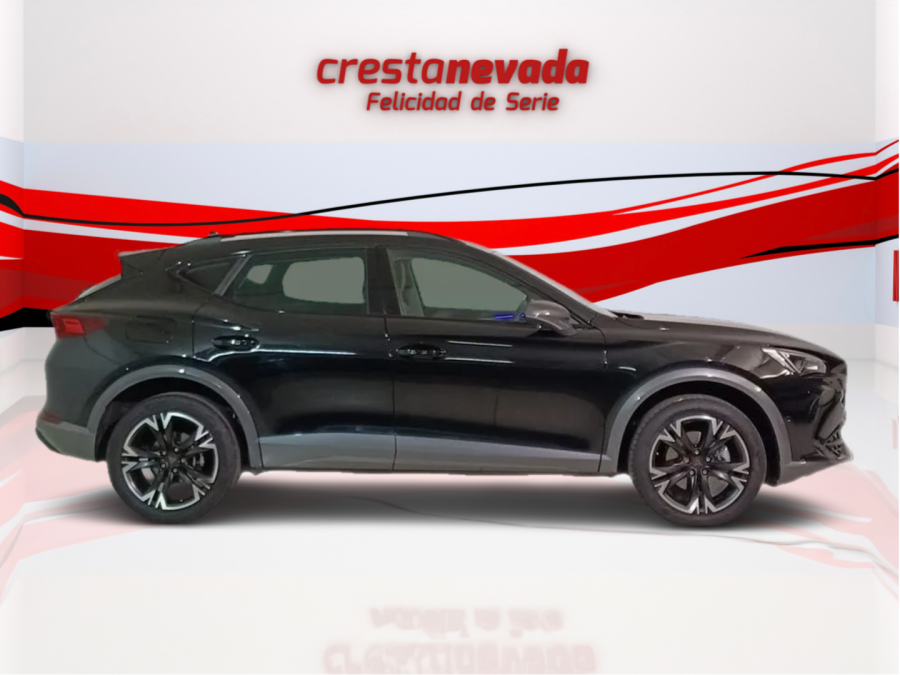 Imagen de cupra Formentor
