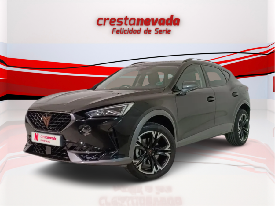 Imagen de cupra Formentor