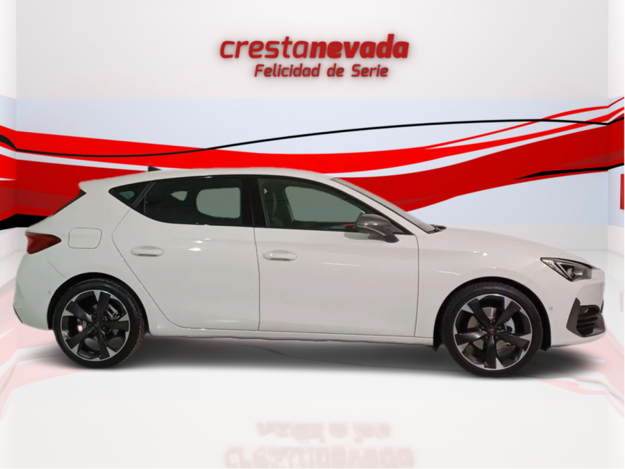Imagen de cupra León
