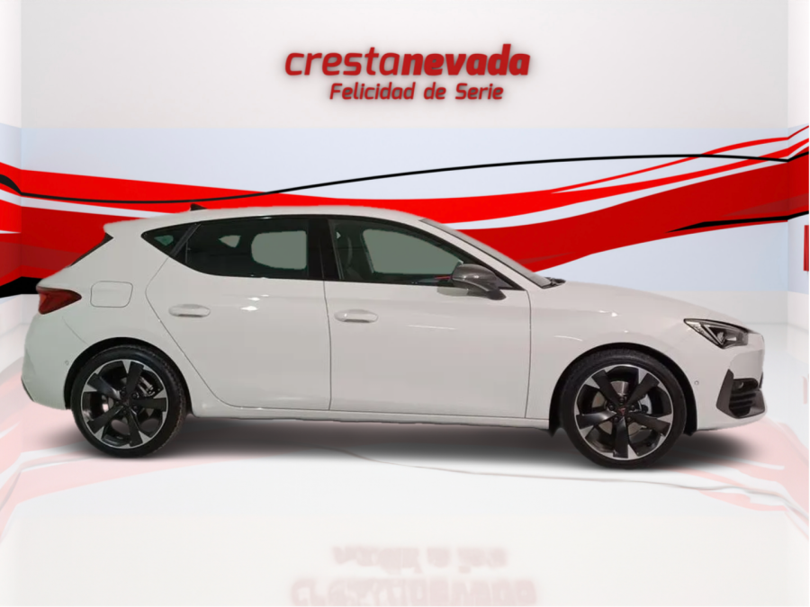 Imagen de cupra León