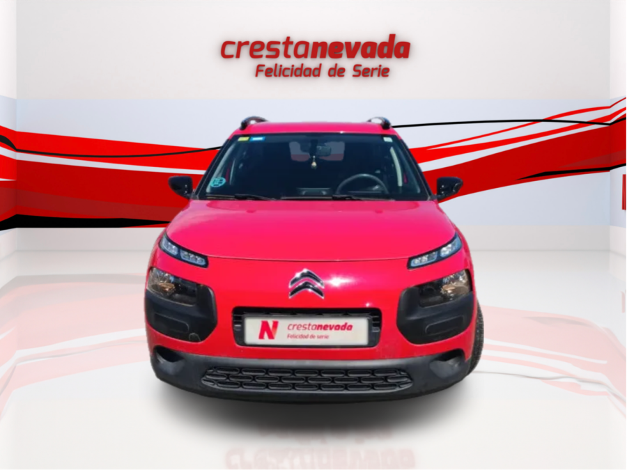 Imagen de CITROEN C4 Cactus