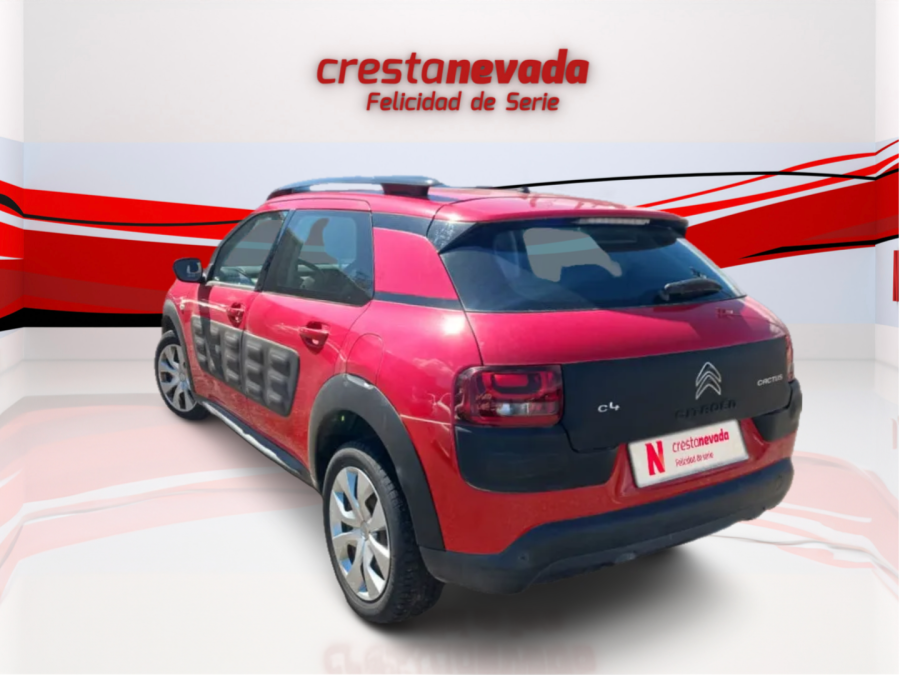 Imagen de CITROEN C4 Cactus