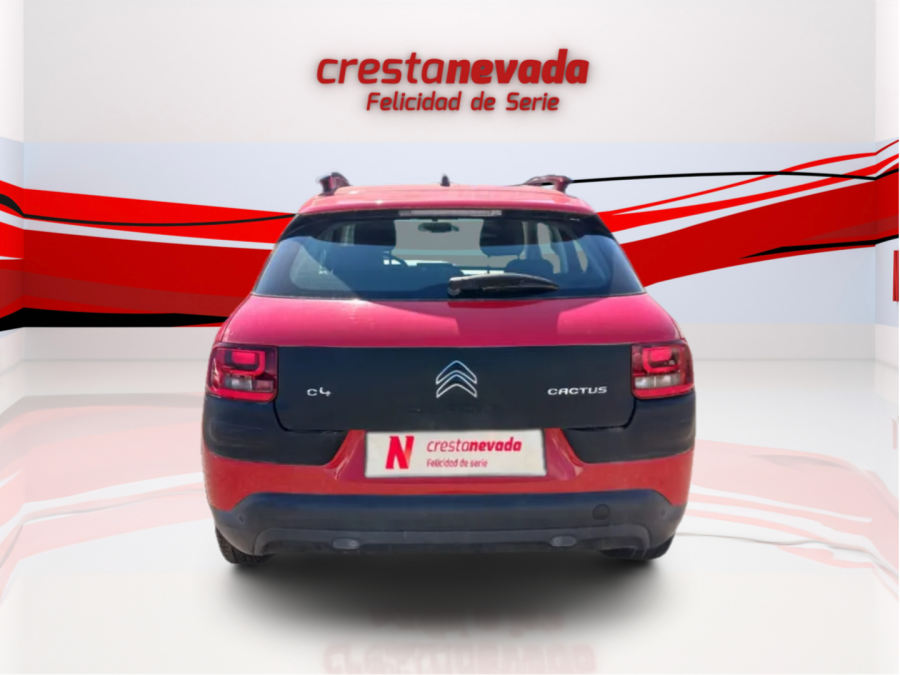 Imagen de CITROEN C4 Cactus
