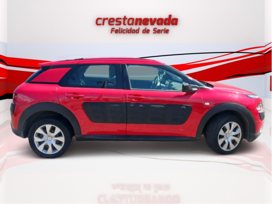 Imagen de CITROEN C4 Cactus