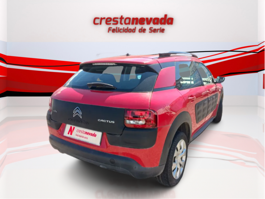 Imagen de CITROEN C4 Cactus