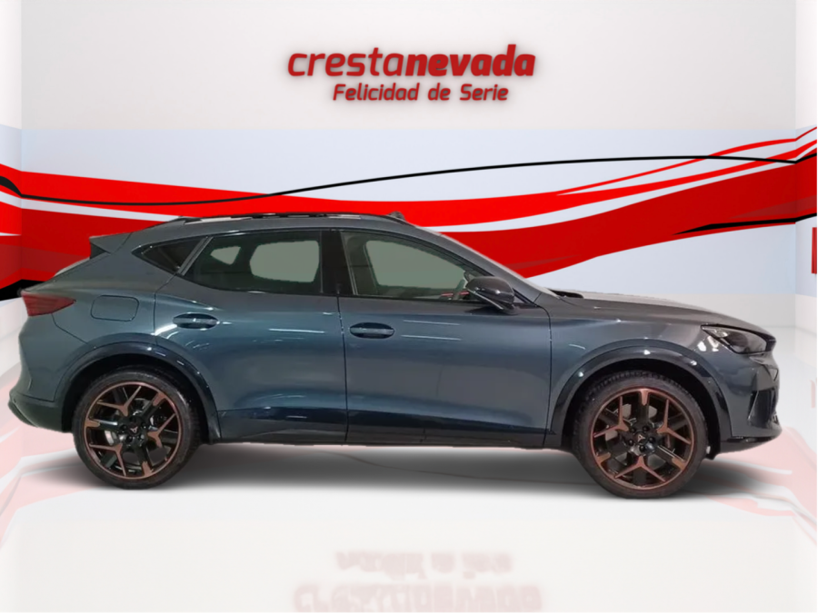 Imagen de cupra Formentor