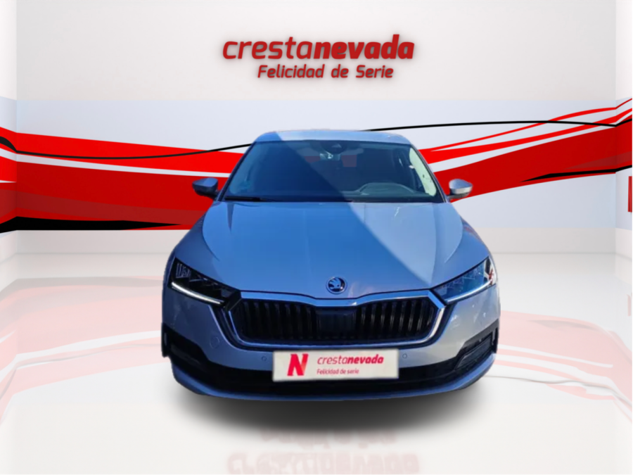 Imagen de Skoda Octavia