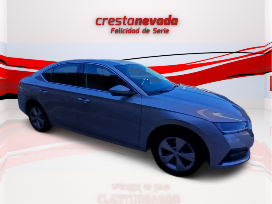 Imagen de Skoda Octavia