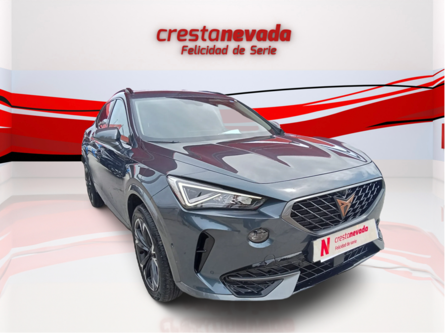 Imagen de cupra Formentor