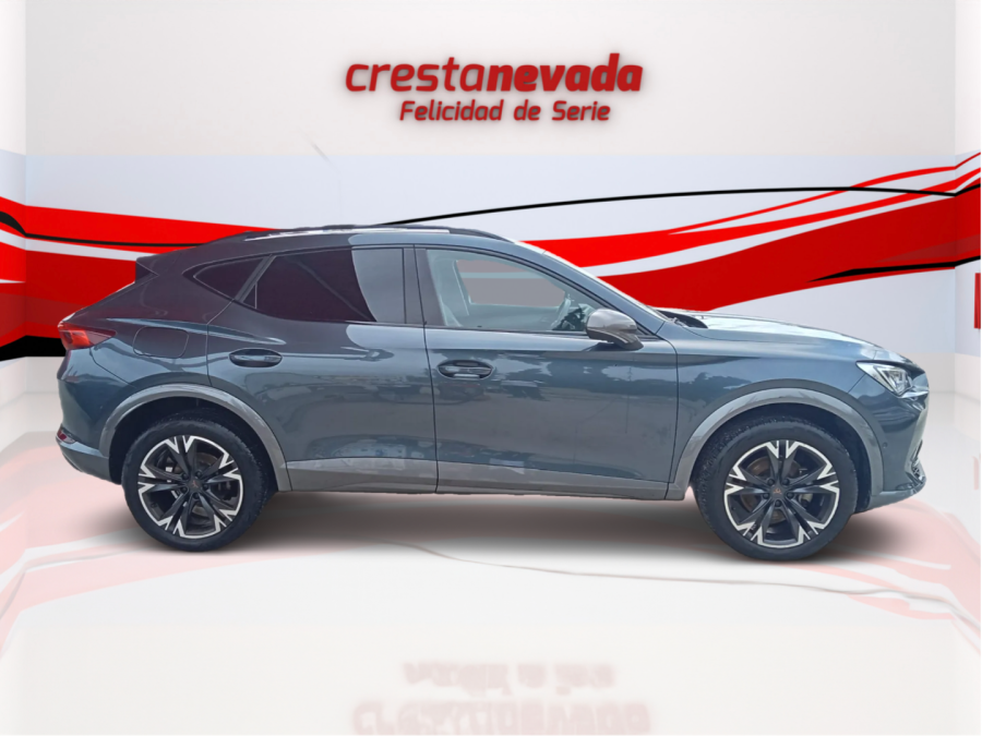 Imagen de cupra Formentor