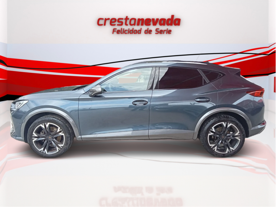 Imagen de cupra Formentor