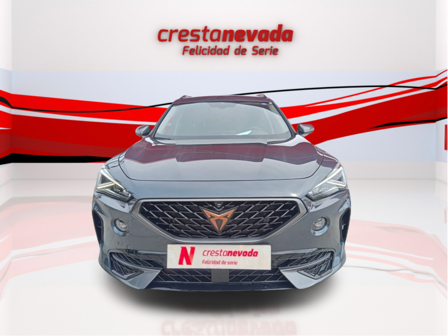 Imagen de cupra Formentor