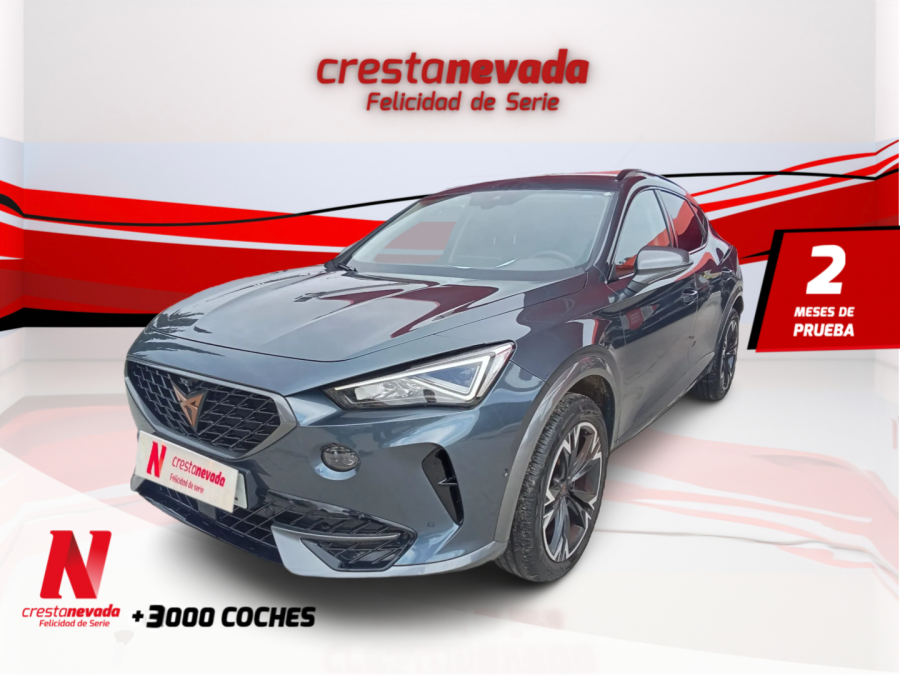 Imagen de cupra Formentor