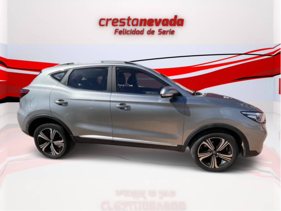 Imagen de Mg ZS