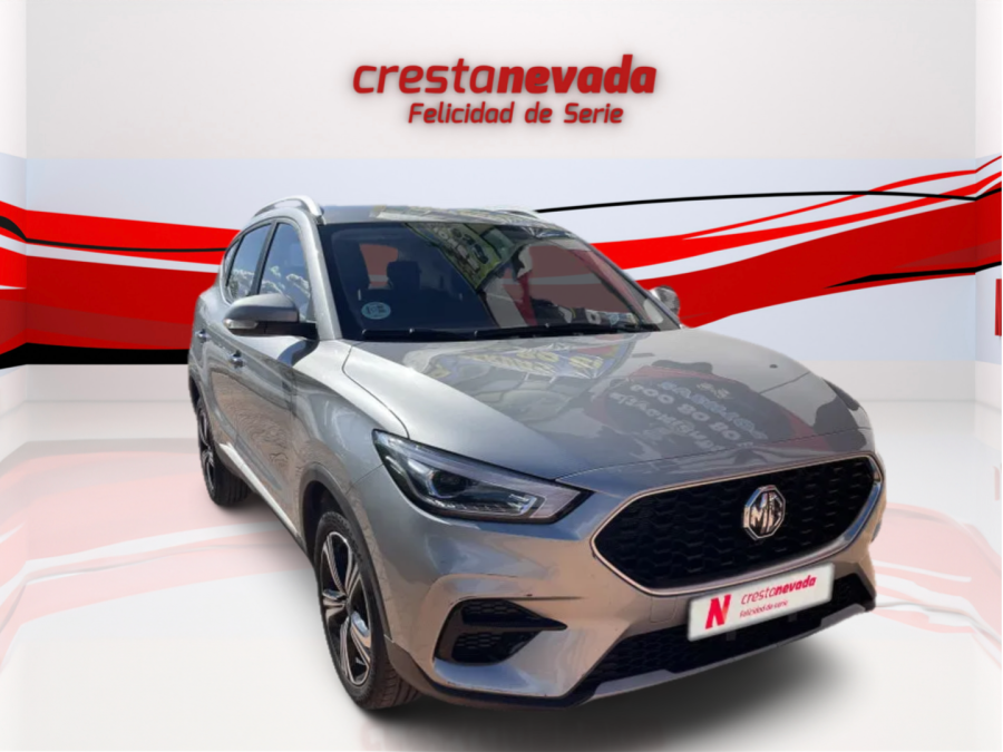 Imagen de Mg ZS