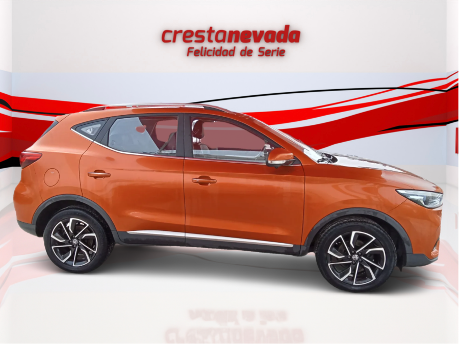 Imagen de Mg ZS