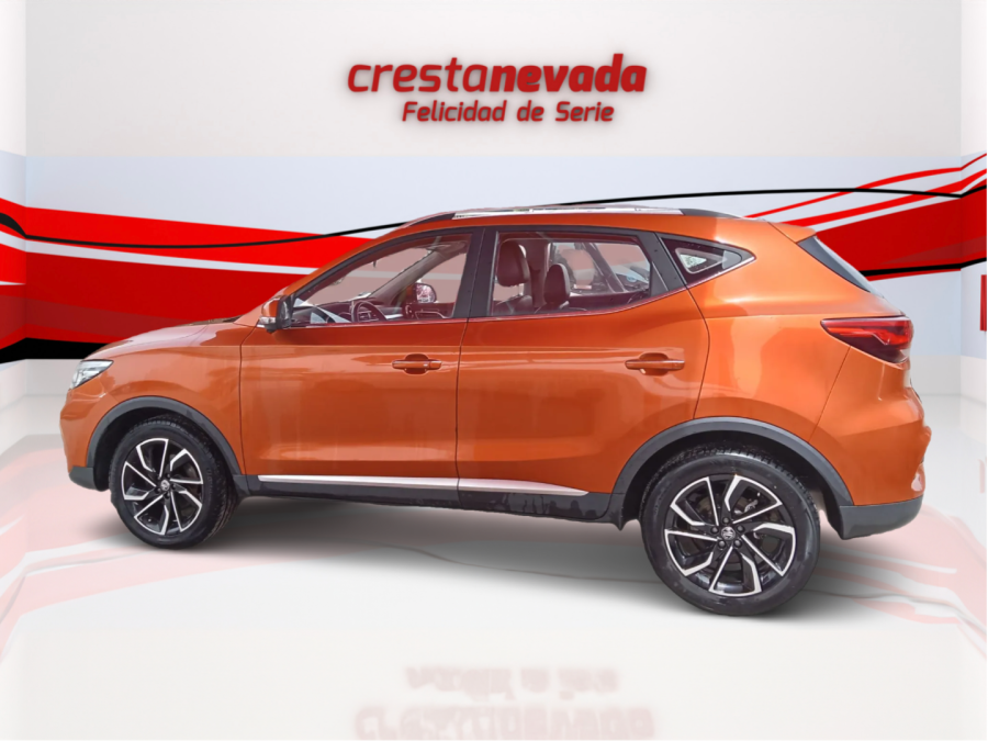 Imagen de Mg ZS
