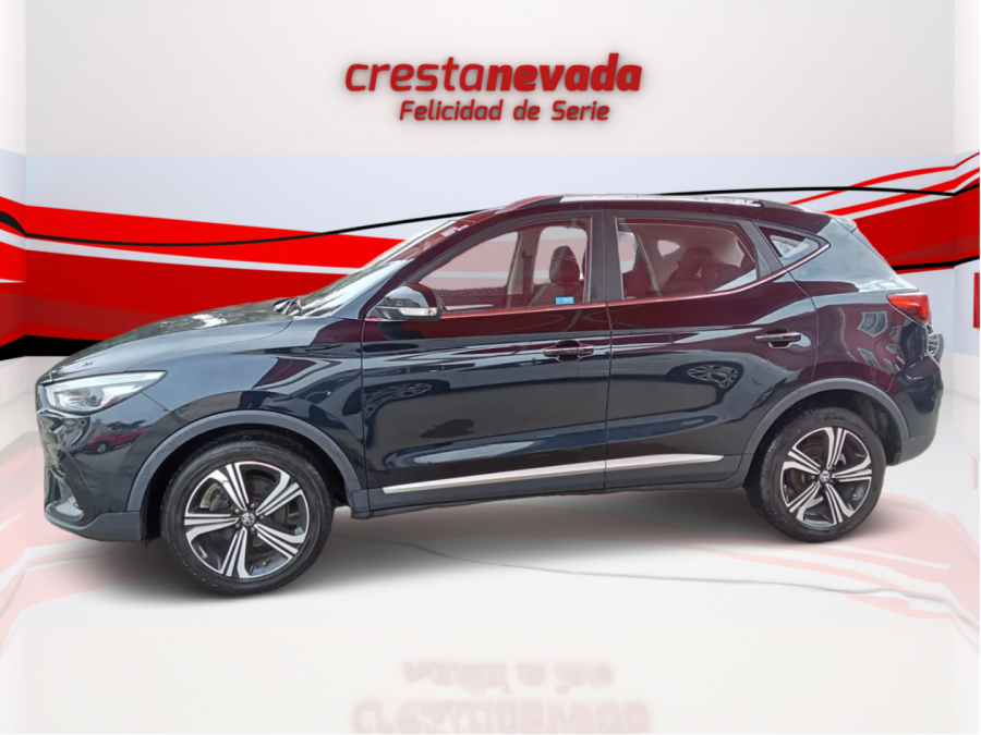Imagen de Mg ZS