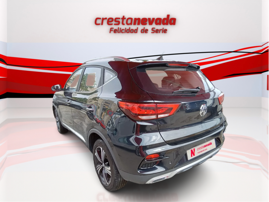 Imagen de Mg ZS