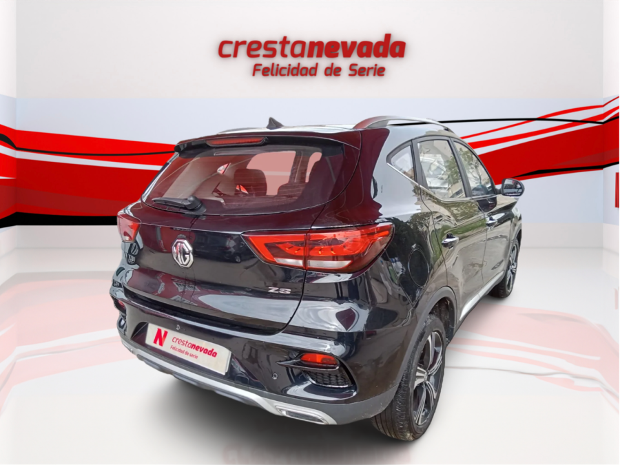 Imagen de Mg ZS
