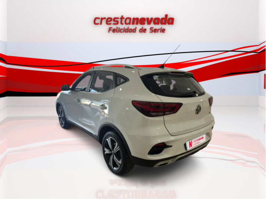 Imagen de Mg ZS
