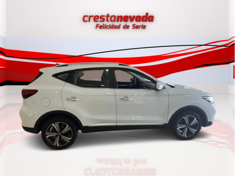 Imagen de Mg ZS