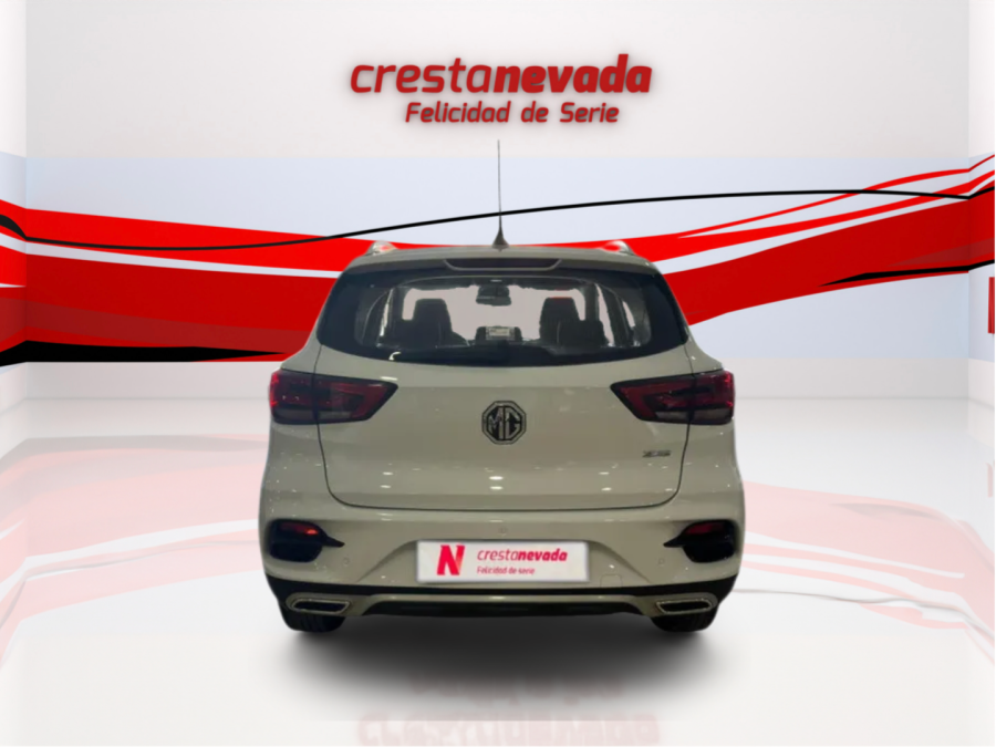 Imagen de Mg ZS