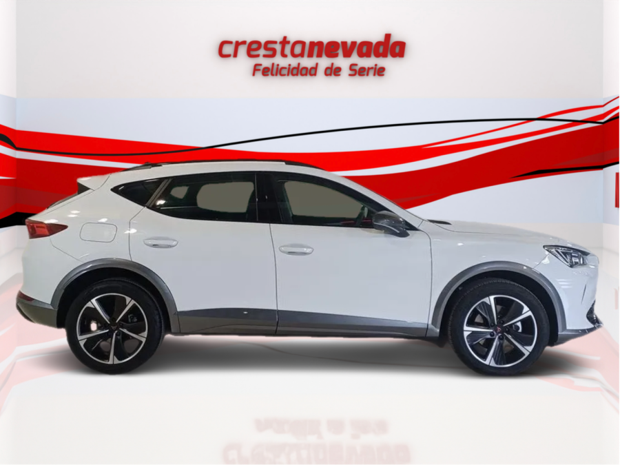 Imagen de cupra Formentor