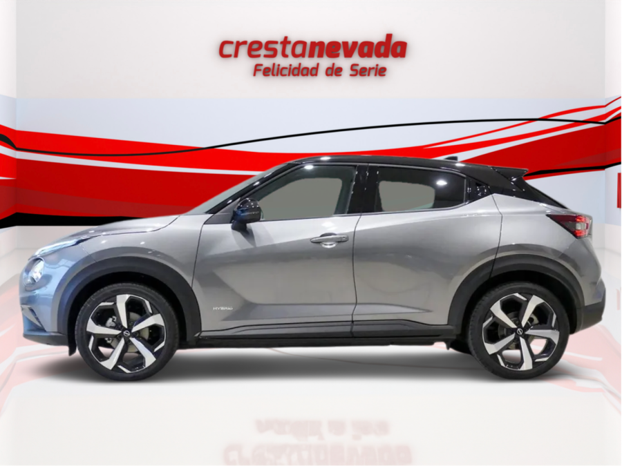 Imagen de NISSAN JUKE