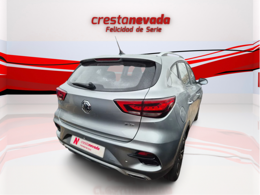 Imagen de Mg ZS