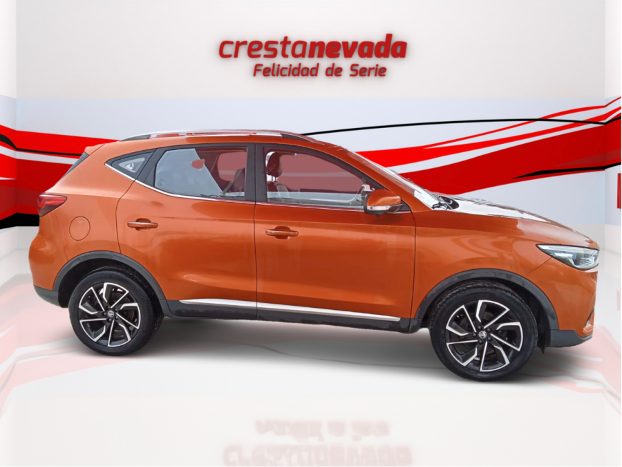 Imagen de Mg ZS