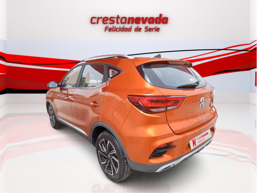 Imagen de Mg ZS