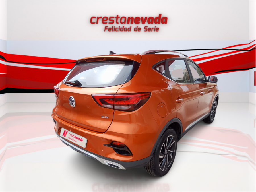 Imagen de Mg ZS