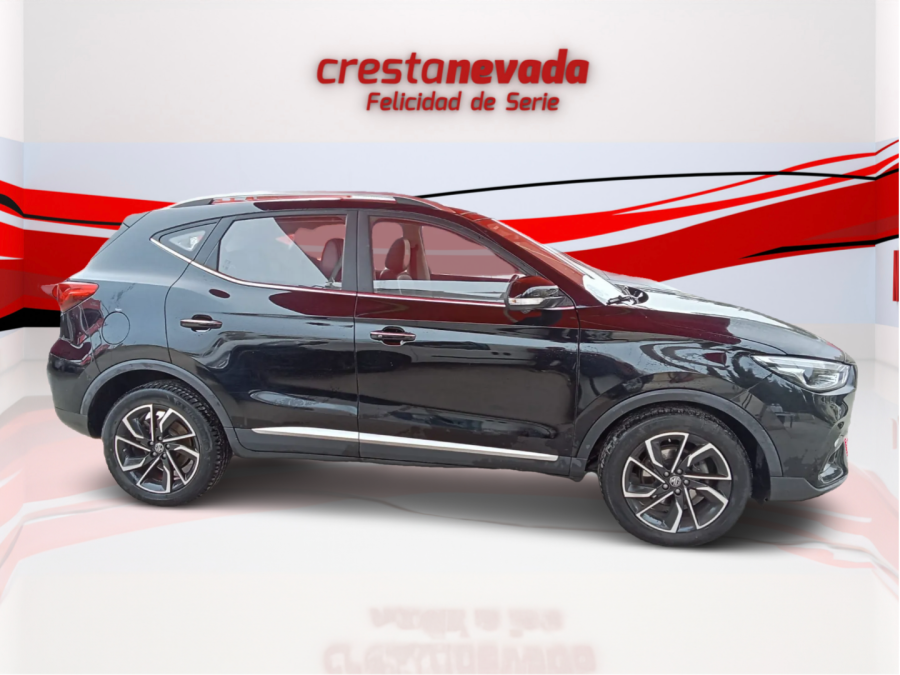 Imagen de Mg ZS