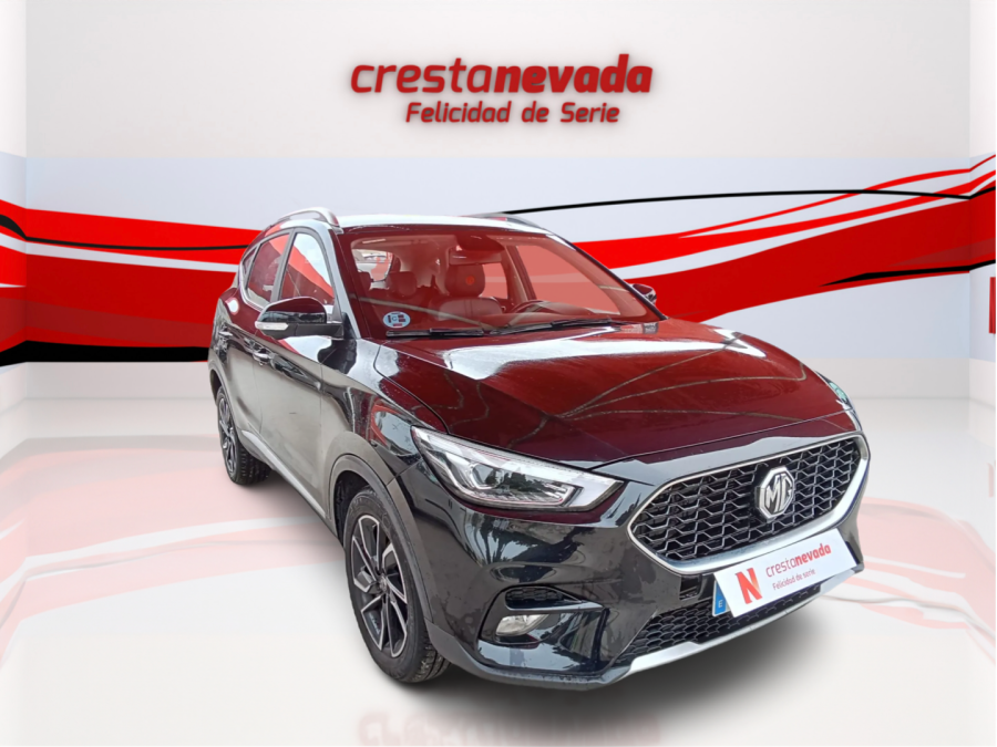 Imagen de Mg ZS
