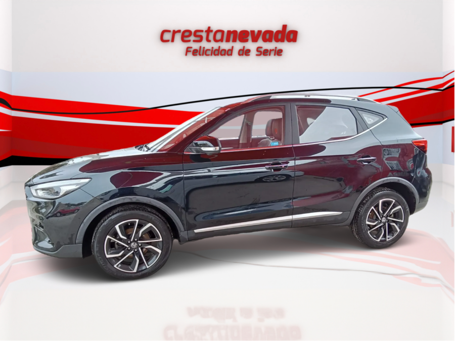 Imagen de Mg ZS