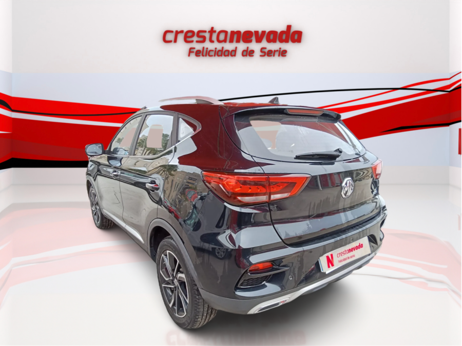 Imagen de Mg ZS