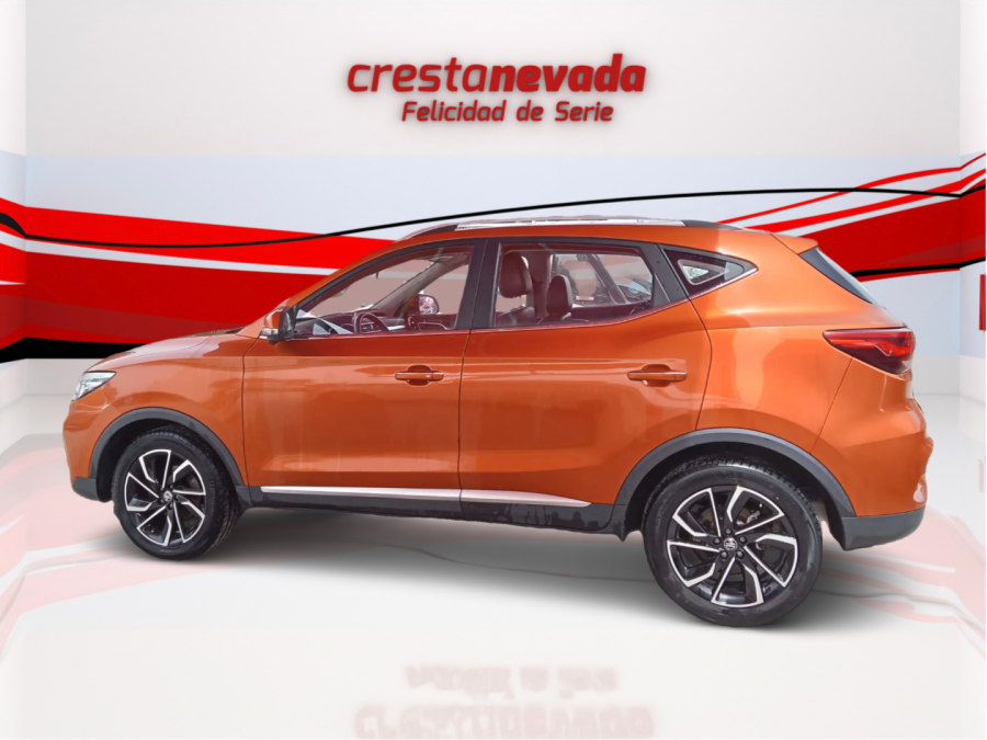 Imagen de Mg ZS