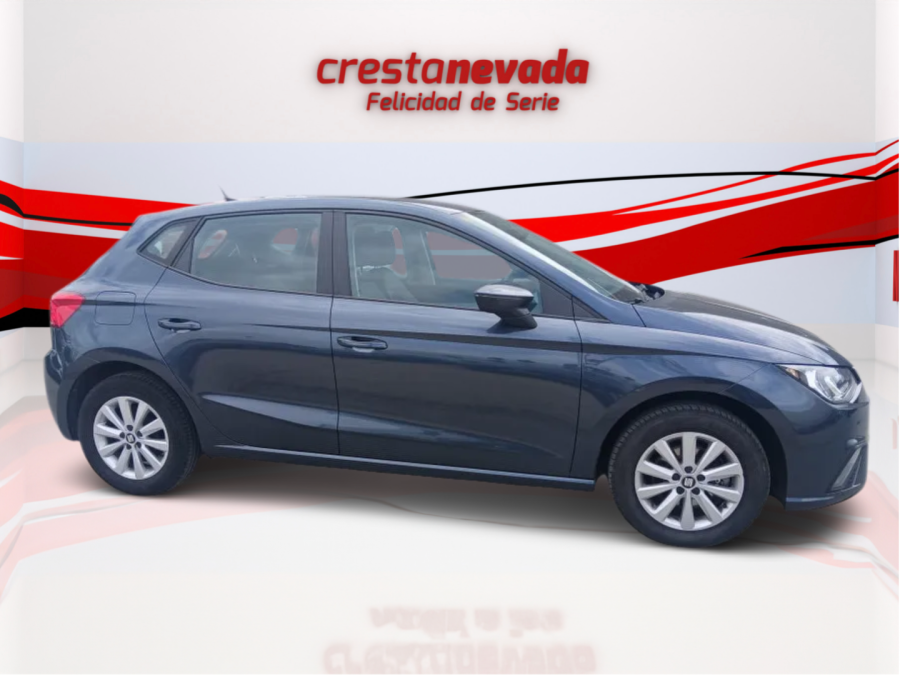Imagen de SEAT Ibiza