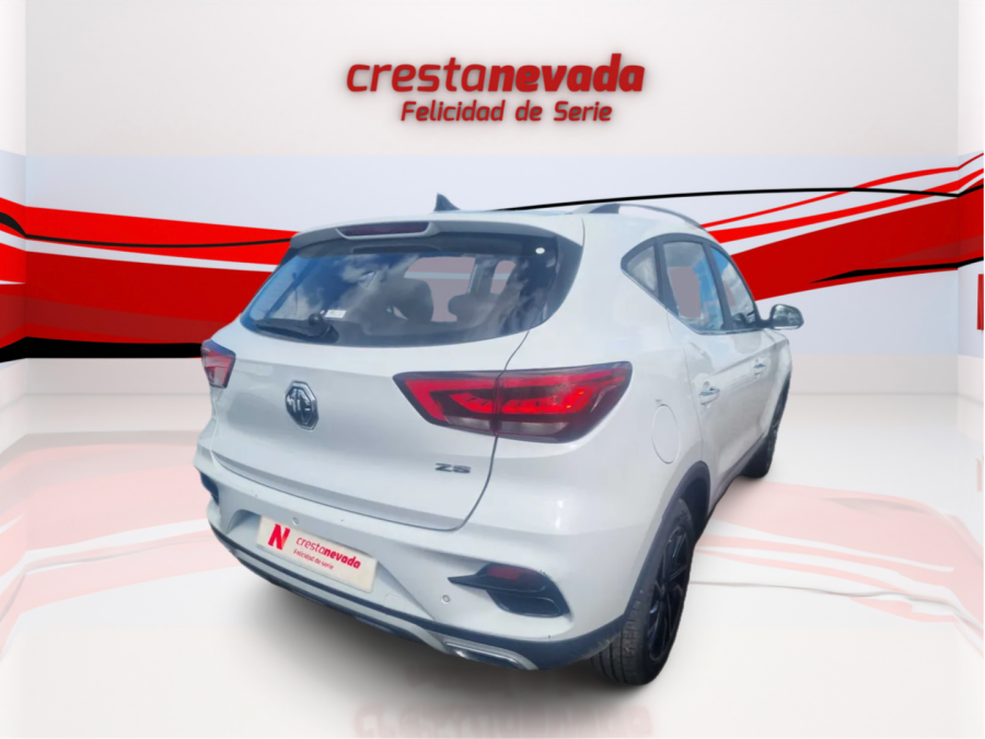 Imagen de Mg ZS