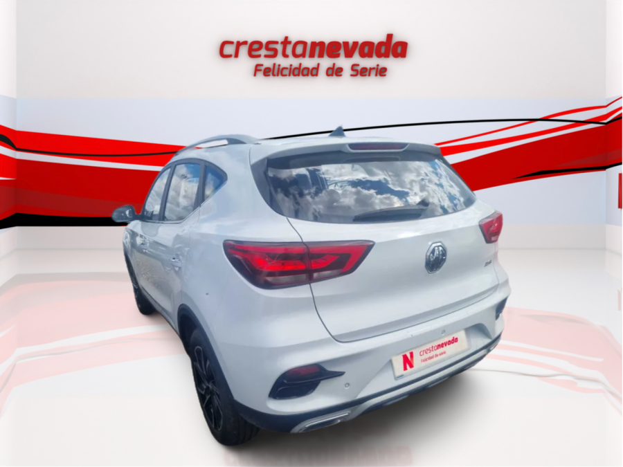 Imagen de Mg ZS