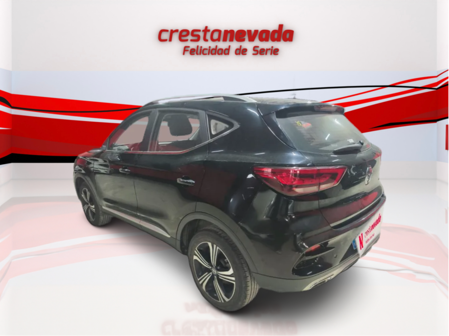 Imagen de Mg ZS