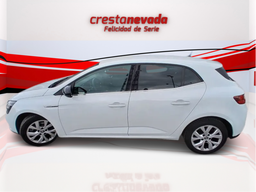 Imagen de Renault Mégane