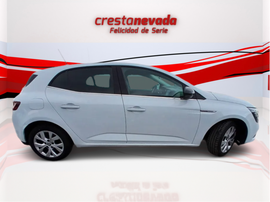Imagen de Renault Mégane