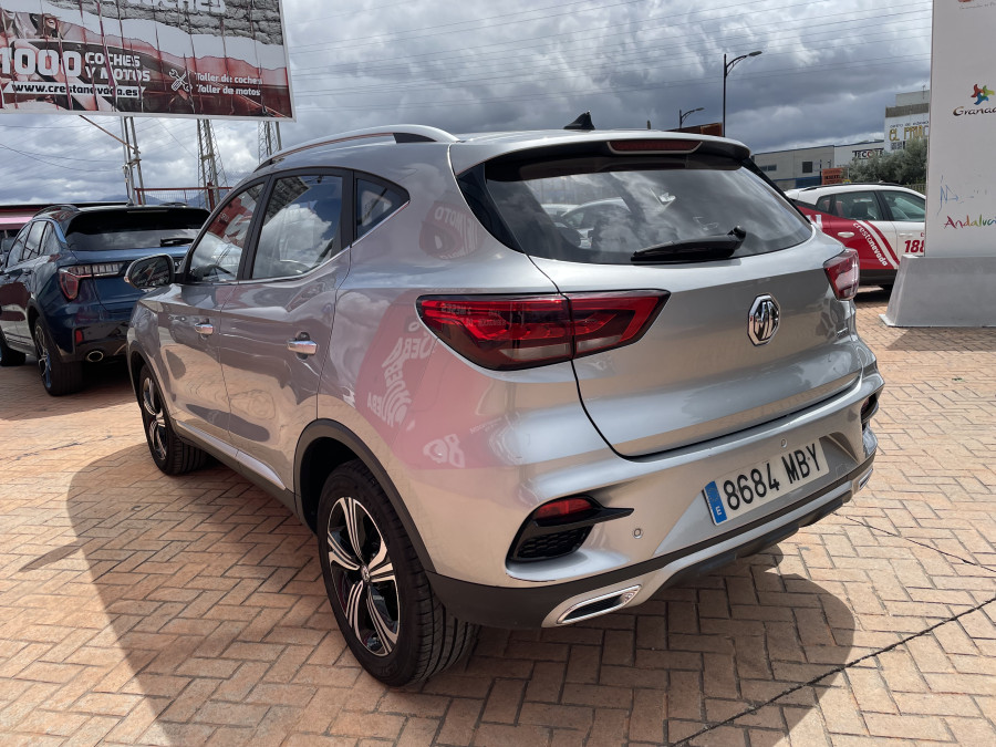 Imagen de Mg ZS