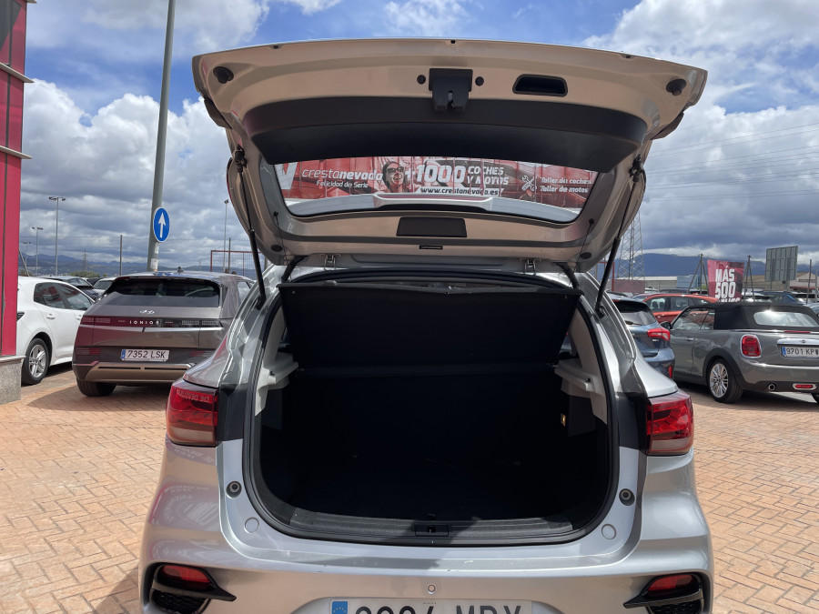 Imagen de Mg ZS