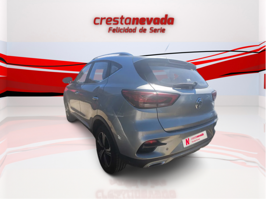 Imagen de Mg ZS