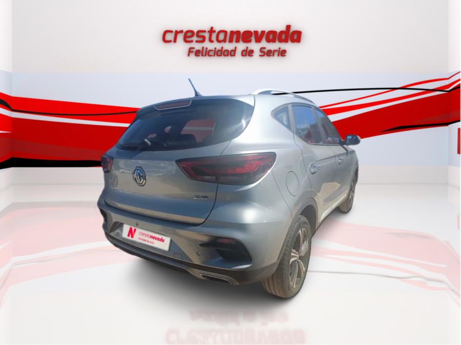 Imagen de Mg ZS