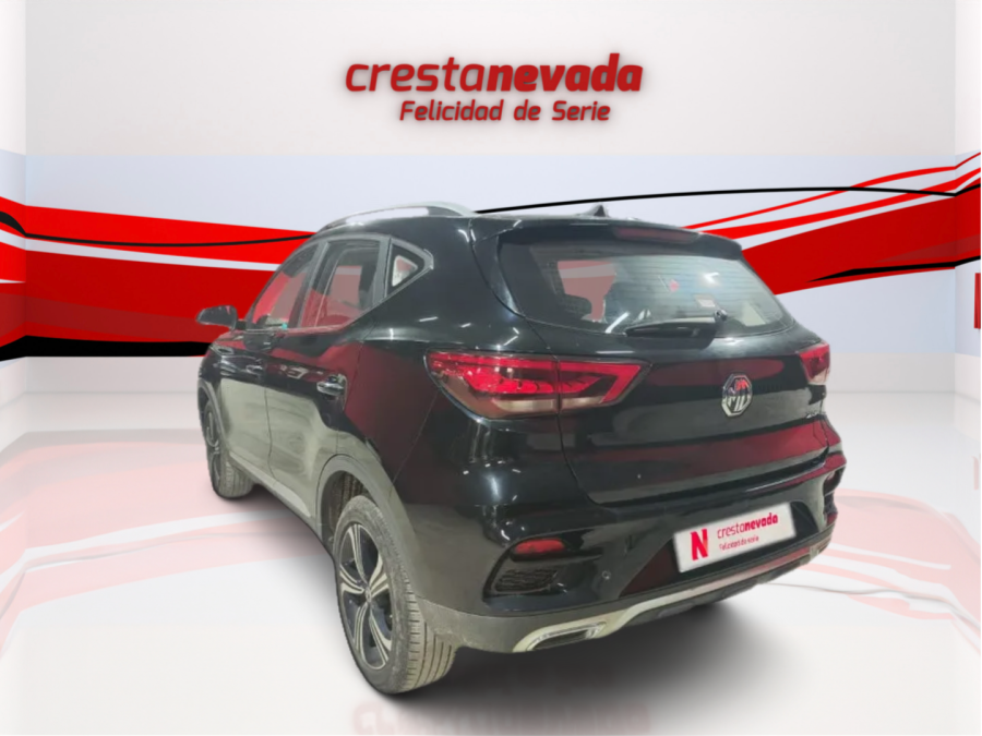 Imagen de Mg ZS